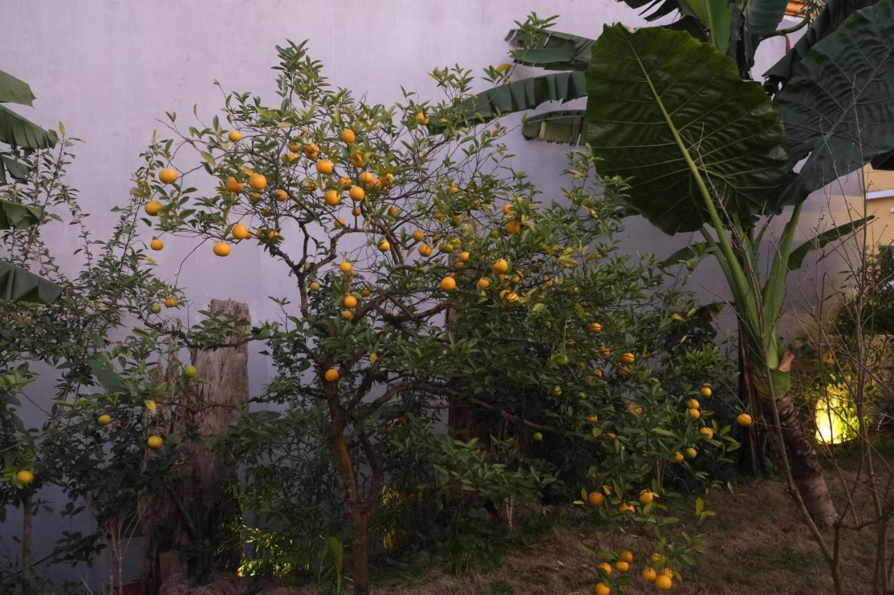 Sapa Charming Homestay Esterno foto